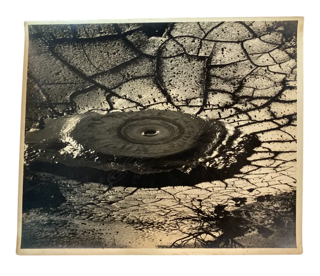 Theo Schoon (1915-85) - Mud pool, Image 1++